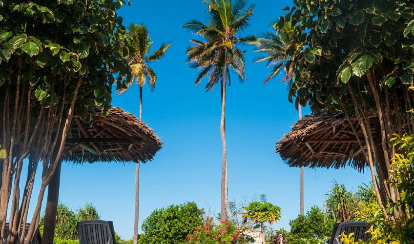 Картинка - 11