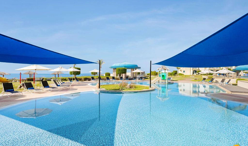 Картинка - 12