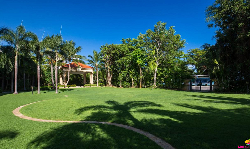 Картинка - 20