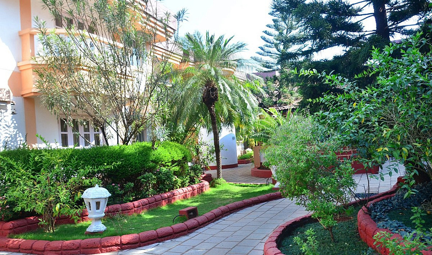 Картинка - 3