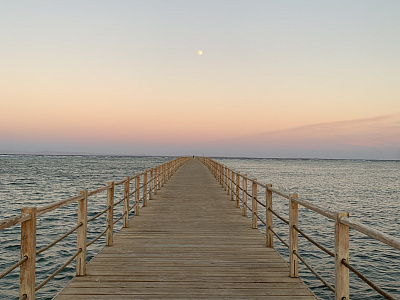 Картинка - 1