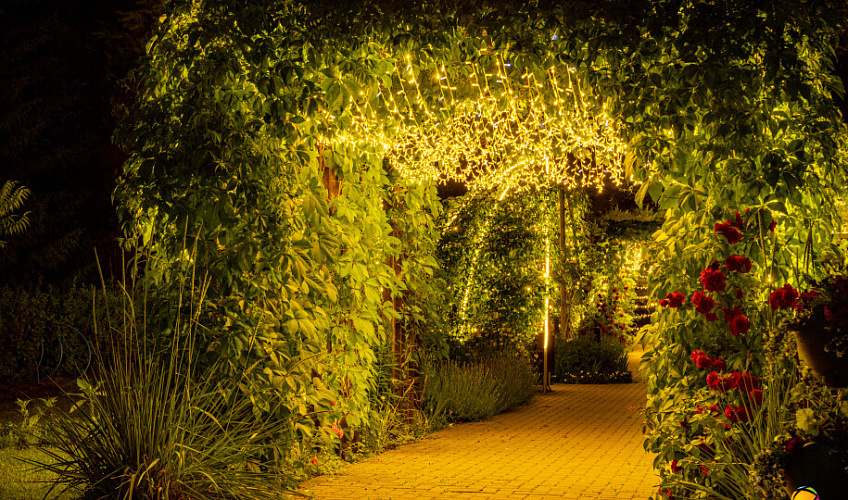 Картинка - 22