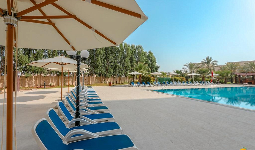 Картинка - 2