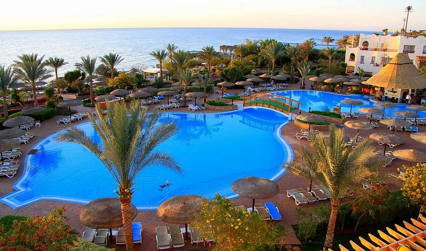 Картинка - 3