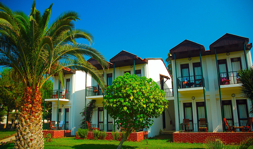 Картинка - 1