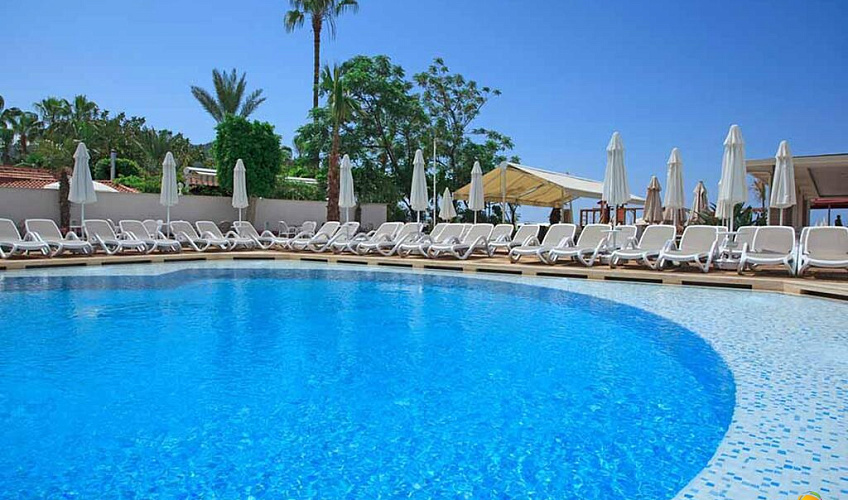 Картинка - 4