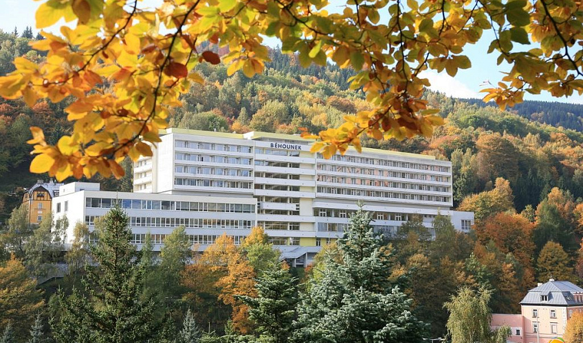 Картинка - 1