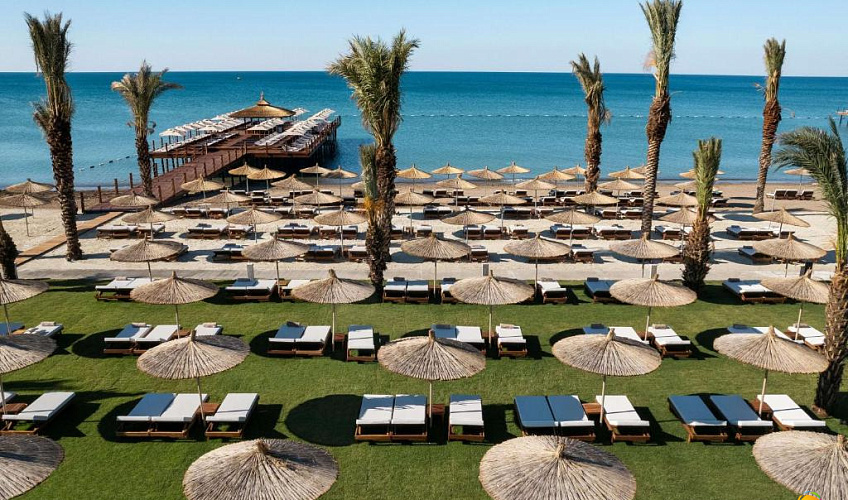 Картинка - 3