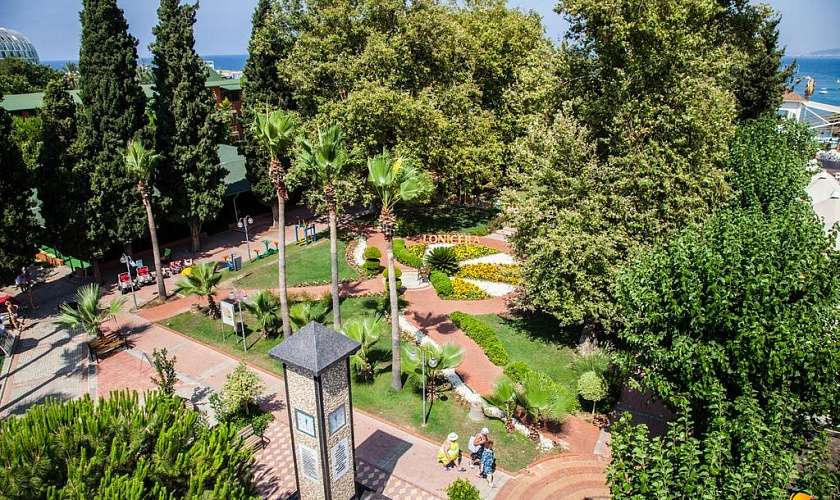 Картинка - 9