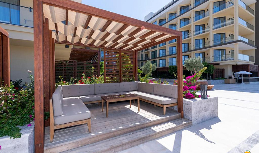 Картинка - 12