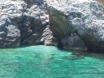 Картинка - 1