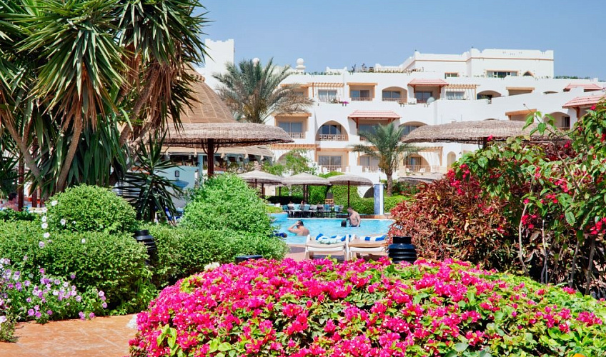 Картинка - 5