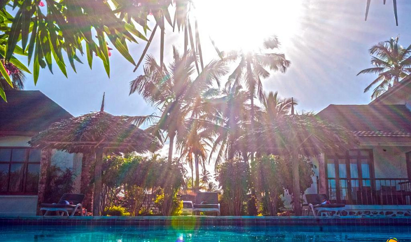 Картинка - 10