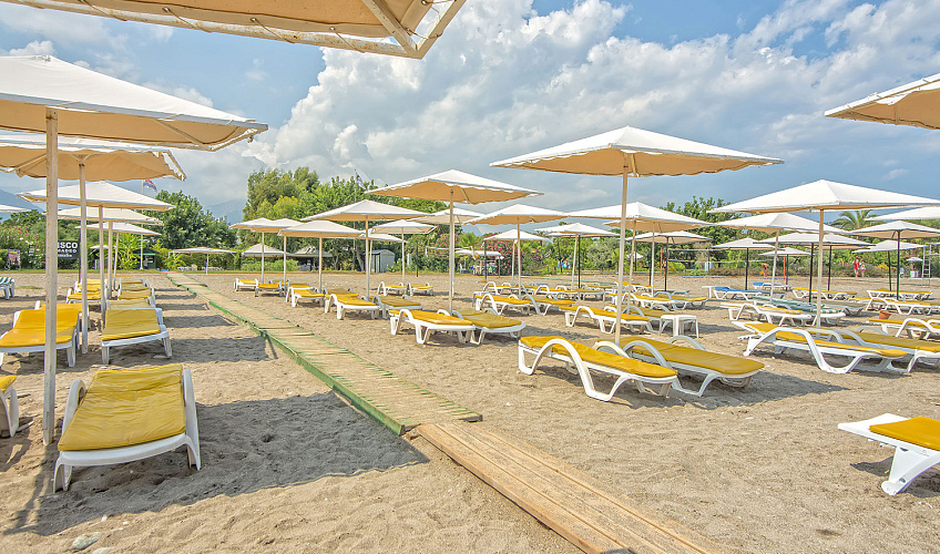 Картинка - 4