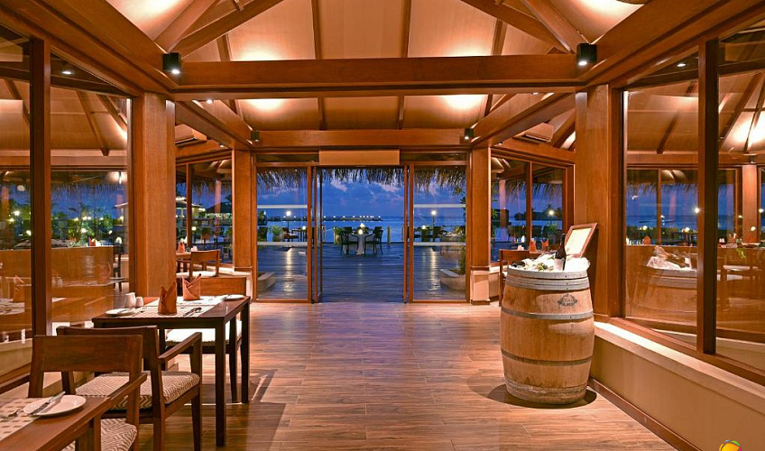 Картинка - 6