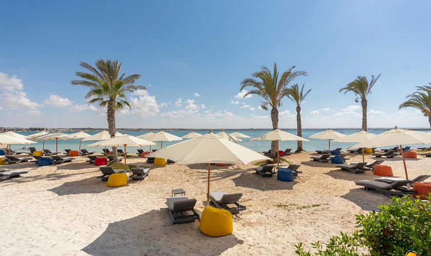 Картинка - 14