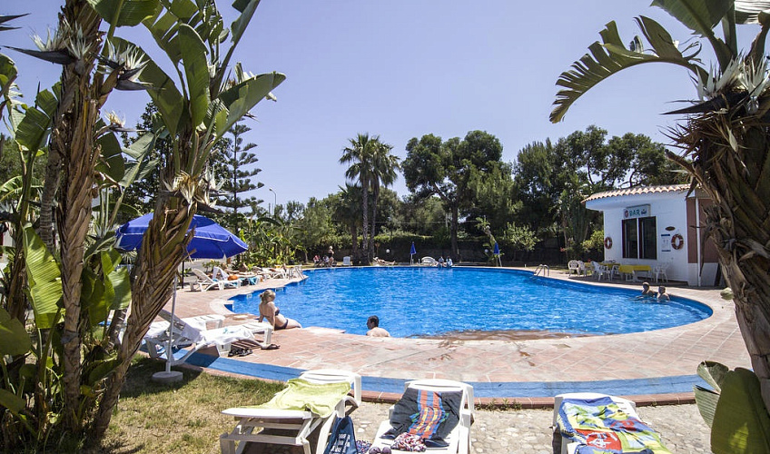 Картинка - 3