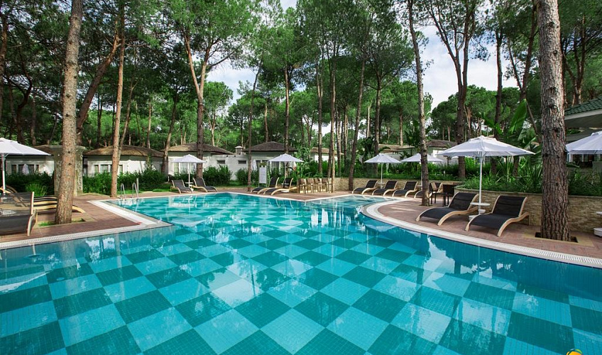 Картинка - 23