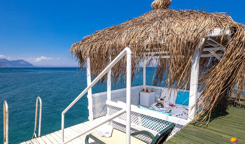 Картинка - 3