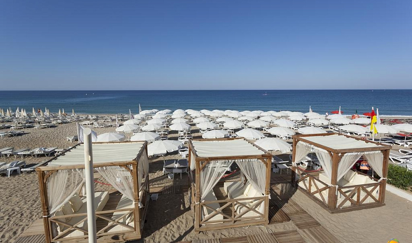 Картинка - 19