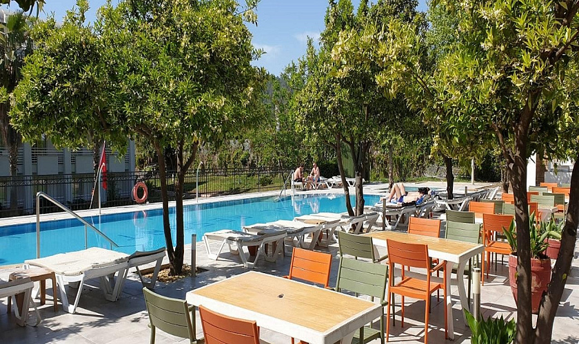 Картинка - 5