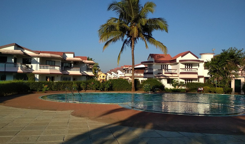 Картинка - 1