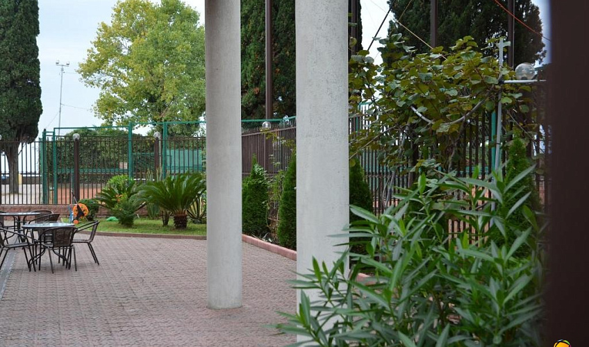 Картинка - 5