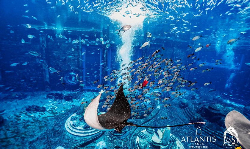 Картинка - 13