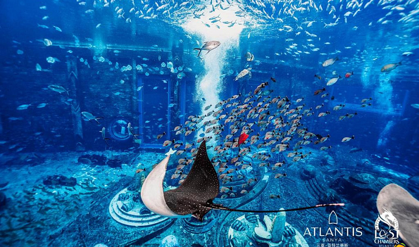 Картинка - 13