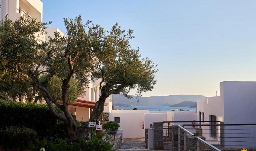 Картинка - 25