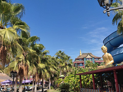 Картинка - 2