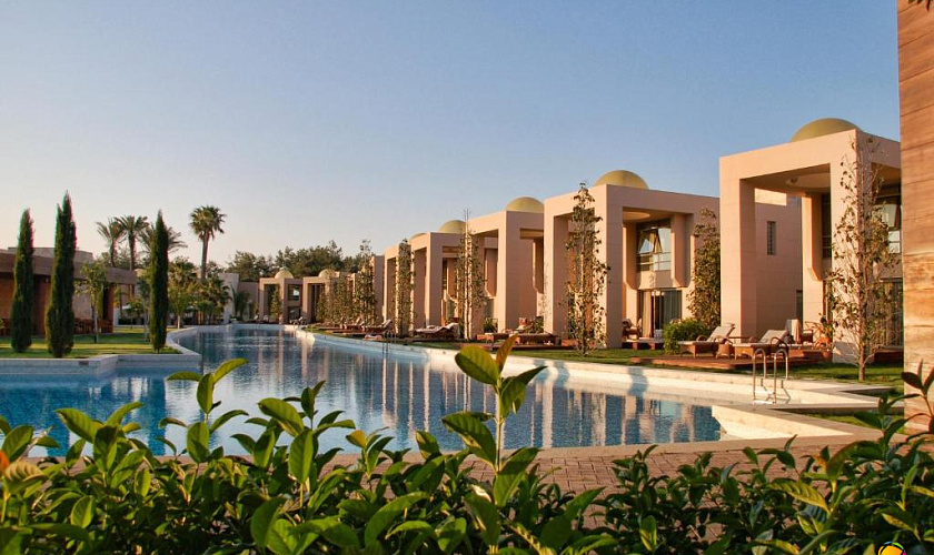 Картинка - 12