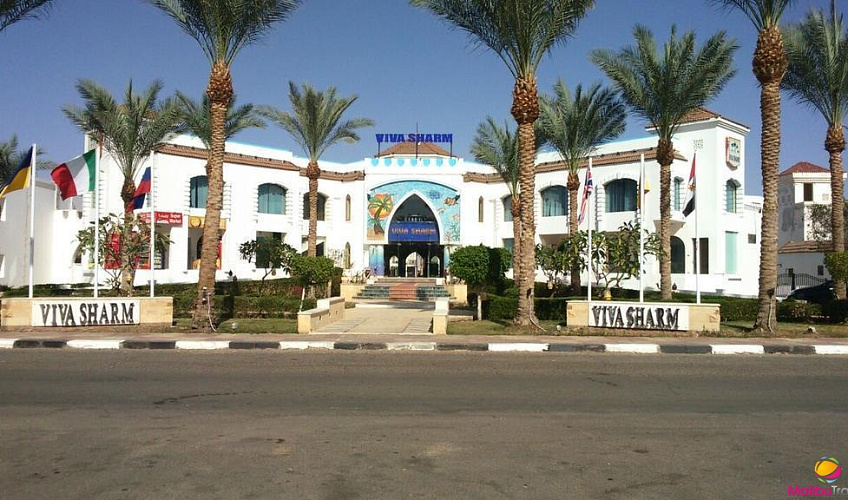 Картинка - 1