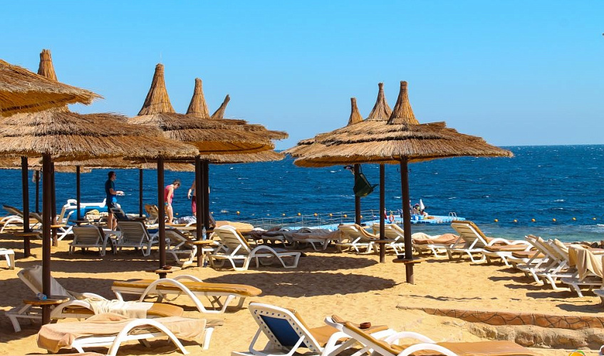 Картинка - 6