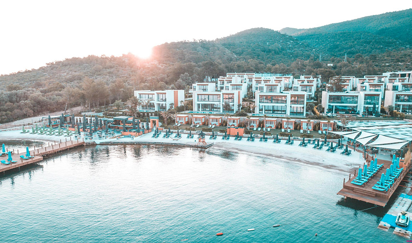 Картинка - 1