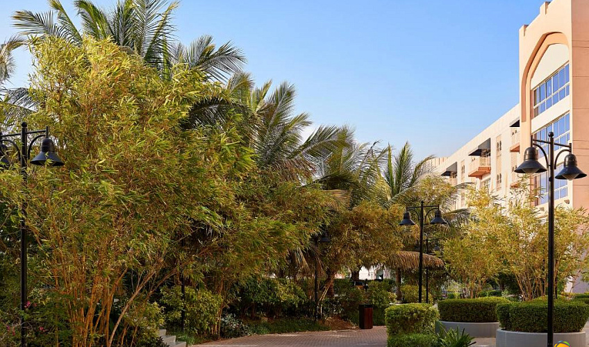 Картинка - 3