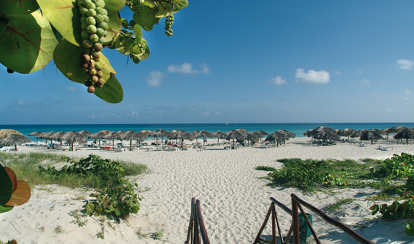 Картинка - 8