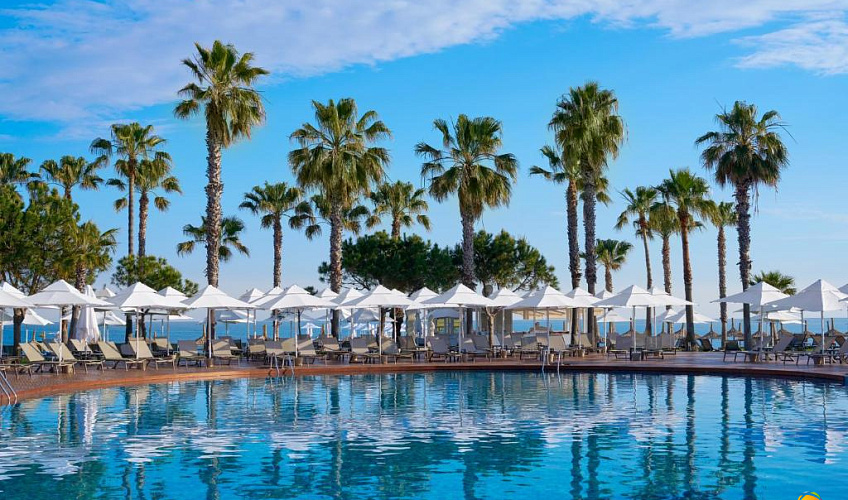 Картинка - 5