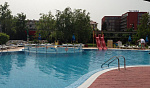 Картинка - 6