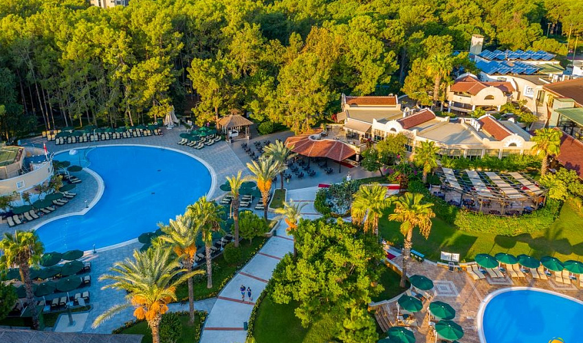 Картинка - 2