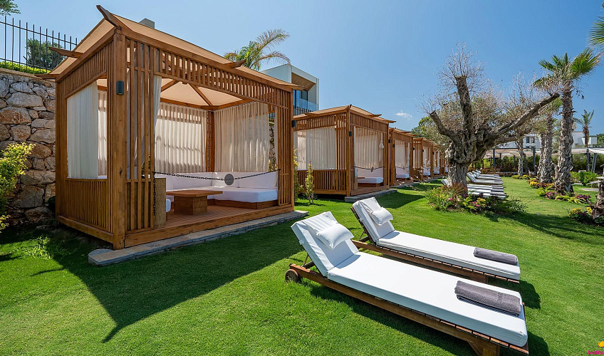 Картинка - 15