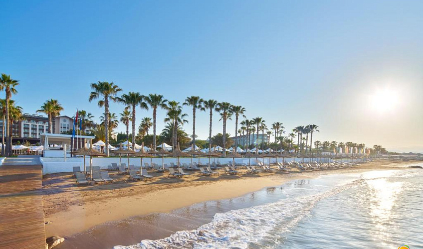 Картинка - 41