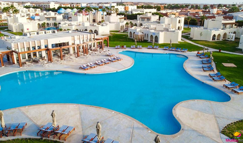 Картинка - 1