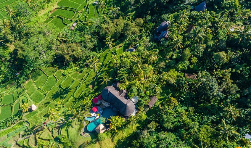 Картинка - 2