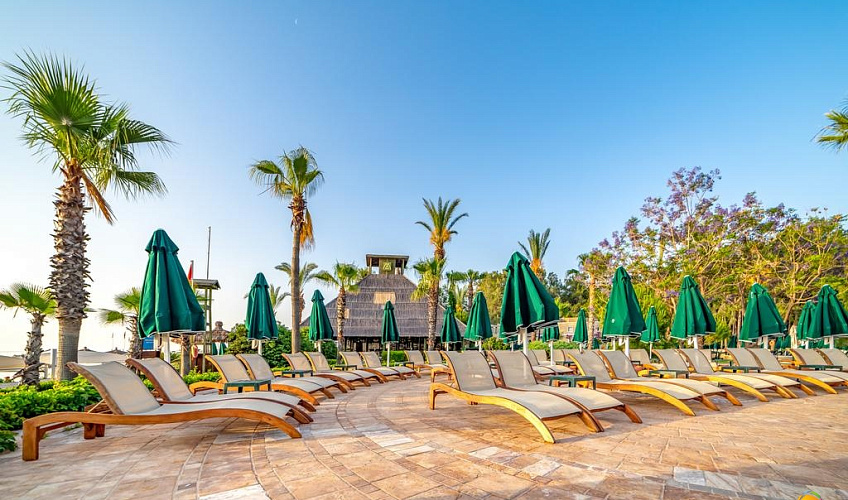 Картинка - 4