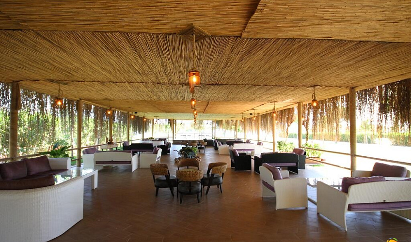 Картинка - 16