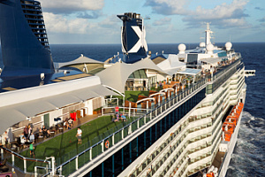 Celebrity Reflection