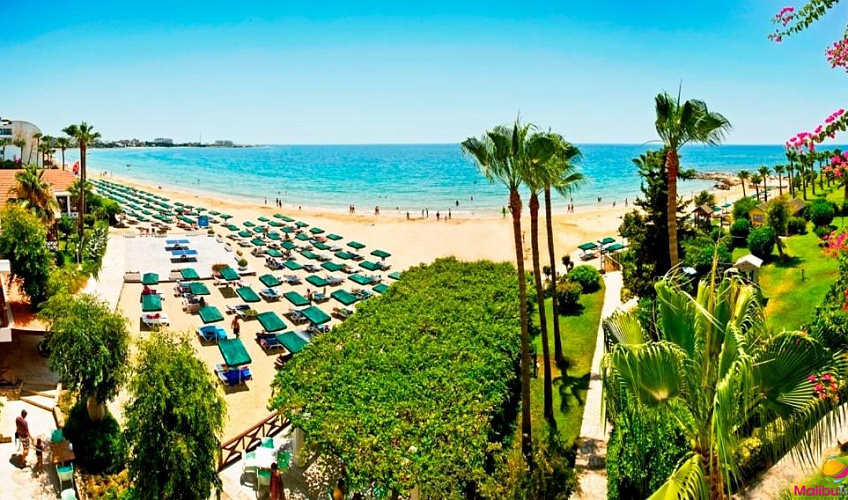 Картинка - 3