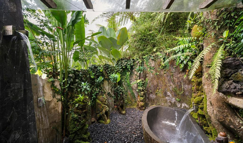 Картинка - 22