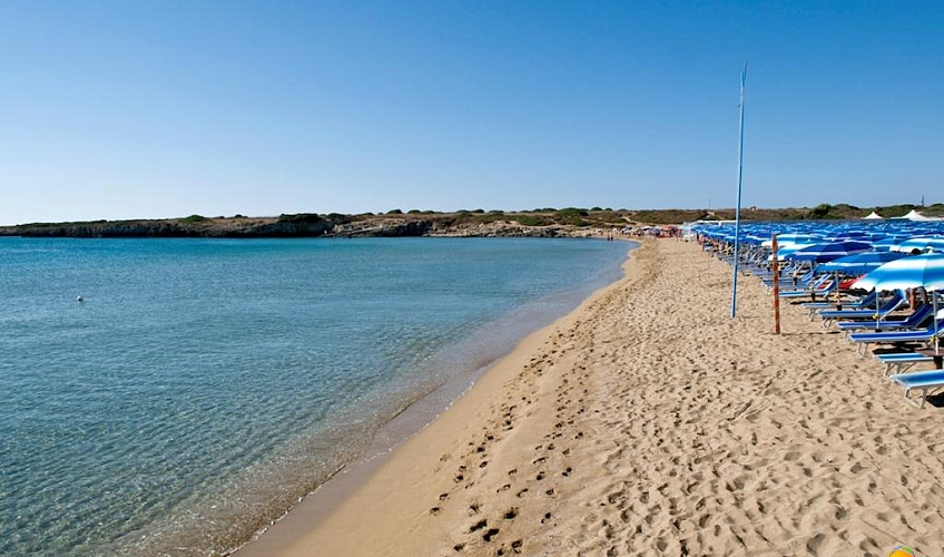 Картинка - 4